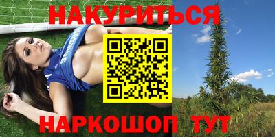 шишки Гусиноозёрск