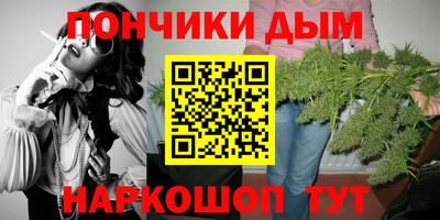 шишки Гусиноозёрск