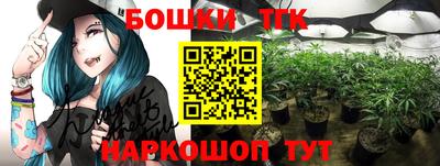 шишки Гусиноозёрск