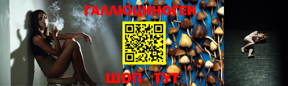 Псилоцибиновые грибы GOLDEN TEACHER  Псилоцибиновые грибы ЛСД  Вход с VPN  Мариинск 